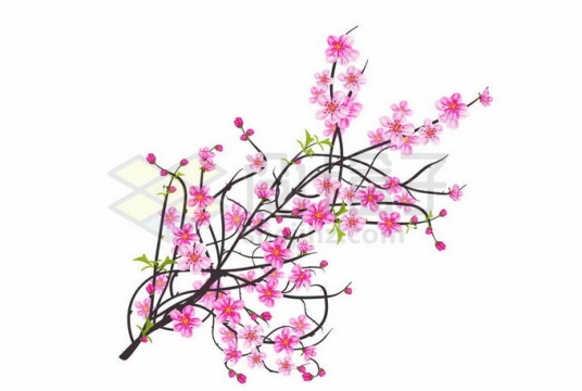 枝头上盛开的粉色桃花9813772矢量图片免抠素材