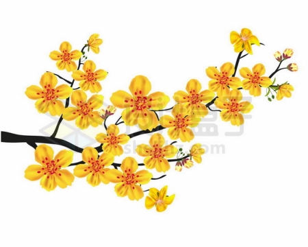枝头上盛开的黄色桃花4409821矢量图片免抠素材