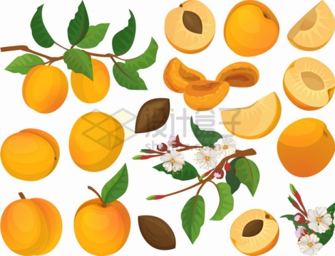 枝头上的桃子水蜜桃黄桃美味水果png图片素材