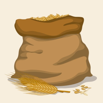 一麻袋小麦麦粒和麦穗免抠矢量图片素材