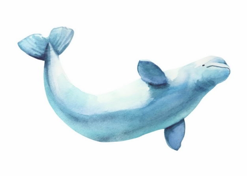 淡蓝色白鲸水彩手绘插画4950353矢量图片免抠素材