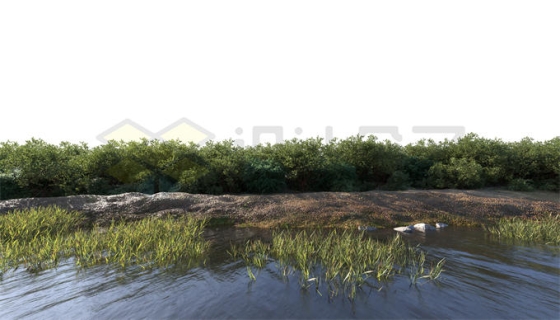 沼泽湿地湖边的水草和岸边的灌木丛风景4479869PSD免抠图片素材