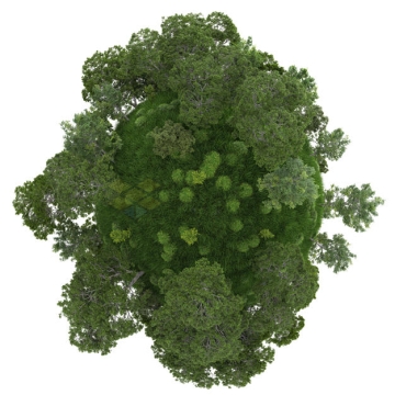 鱼眼效果草地上大树和小树林风景微型星球3D模型5749041PSD免抠图片素材