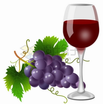 紫色葡萄和高脚杯中的葡萄酒png图片素材