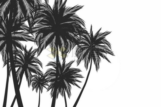 高清椰子树剪影288984png图片素材