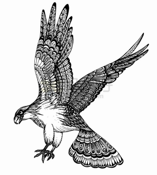 展翅高飞的老鹰雄鹰抽象图案纹理部落民族图腾png图片免抠矢量素材
