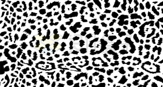 一款黑白色豹纹花纹图案横版背景图4704361矢量图片免抠素材