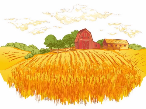 彩绘风格乡村黄色丰收麦田和远处的农舍树林风景图png图片免抠矢量素材
