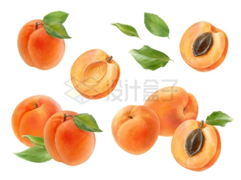 各种美味的水蜜桃桃子水果9884508矢量图片免抠素材