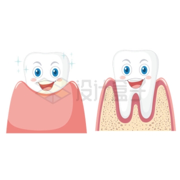 两颗洁白的卡通牙齿4196939矢量图片免抠素材下载