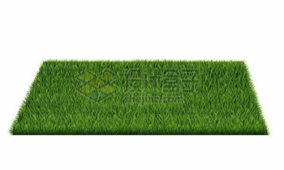 方块形状绿油油的青草地草坪6876612矢量图片免抠素材
