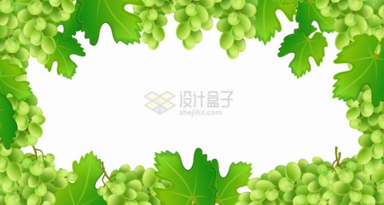 青绿色的葡萄树葡萄和叶子边框png图片素材