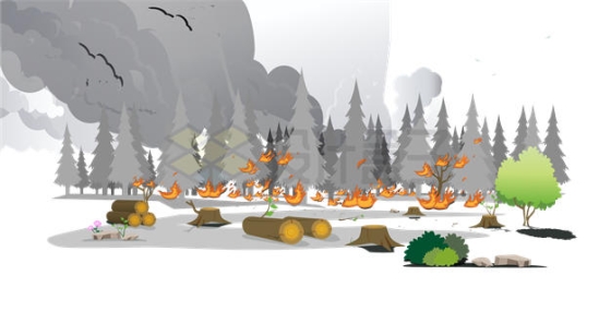 森林火灾燃烧的树林插画1984338矢量图片免抠素材