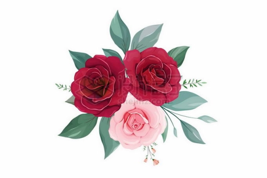 盛开的大红色和粉红色玫瑰花绿叶装饰7502266矢量图片免抠素材