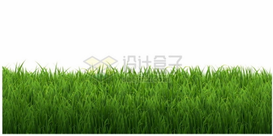 绿油油的青草地草坪装饰2522216矢量图片免抠素材