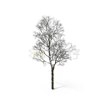 冬天里掉光叶子的大树落满积雪7322922PSD免抠图片素材