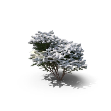 冬天落满厚厚积雪的大树7764241PSD免抠图片素材
