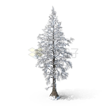 冬天落满厚厚积雪的松树针叶林9063082PSD免抠图片素材