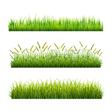 3款青绿色的青草地装饰5227804矢量图片免抠素材