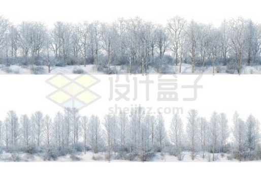 2款冬天大雪覆盖的落叶林树林森林雪景风景6537864免抠图片素材
