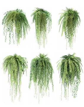 六款3D渲染的肾蕨盆栽绿植观赏植物413359免抠图片素材