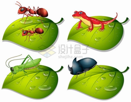 绿色树叶上的红蚂蚁蜥蜴蚂蚱蝗虫和独角大仙等昆虫png图片免抠矢量素材