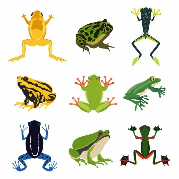 9种青蛙毒箭蛙等野生动物两栖动物png图片免抠矢量素材