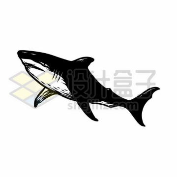 一款手绘黑白风格大白鲨鲨鱼海洋动物插画4958038矢量图片免费下载