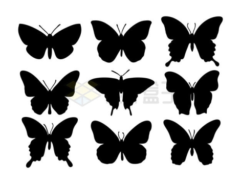 9款蝴蝶展开图剪影2767912矢量图片免抠素材