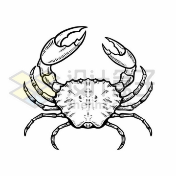一只手绘黑白风格螃蟹海洋动物插画3739614矢量图片免费下载