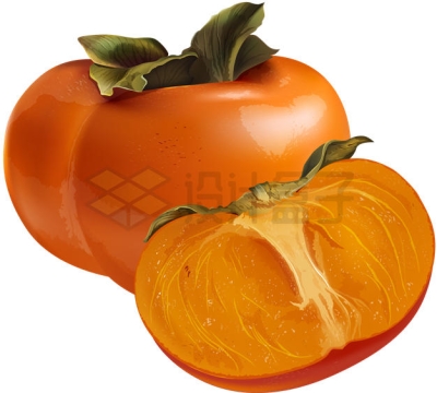 切开的成熟柿子美味水果9322028矢量图片免抠素材