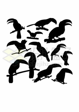 各种巨嘴鸟鵎鵼南美洲野生动物剪影7746180矢量图片免抠素材