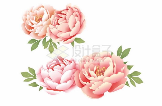 中国风工笔画粉红色牡丹花1927453矢量图片免抠素材