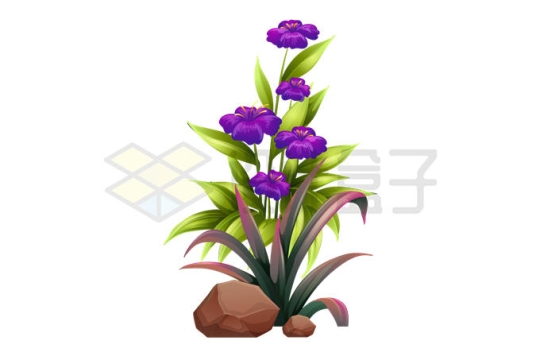石头缝里长出的紫色花朵植物7517072矢量图片免抠素材