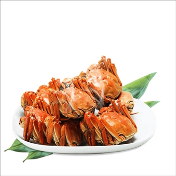 一大盘美味的清蒸大闸蟹螃蟹美食图片免抠素材