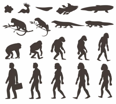 人类进化史从单细胞动物到多细胞到鱼类到爬行动物到古猿到现代人古生物剪影png图片免抠矢量素材