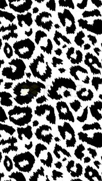 黑白色豹纹花纹图案竖版背景图9983414矢量图片免抠素材
