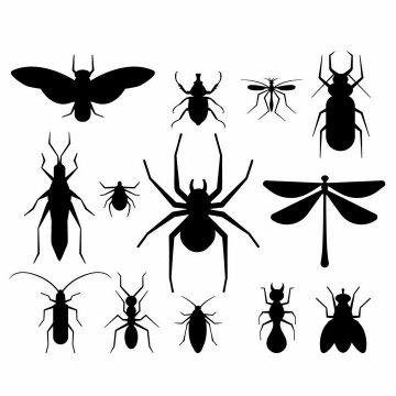 蛾子天牛蚊子蟑螂蜘蛛蜻蜓蚂蚁等昆虫虫子剪影png图片免抠矢量素材