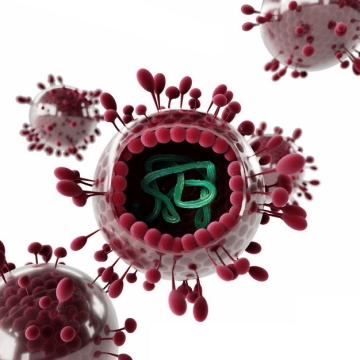 3D立体风格红色的冠状病毒内部DNA结构992182png图片素材