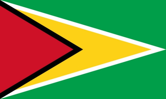 标准版圭亚那国旗图片素材