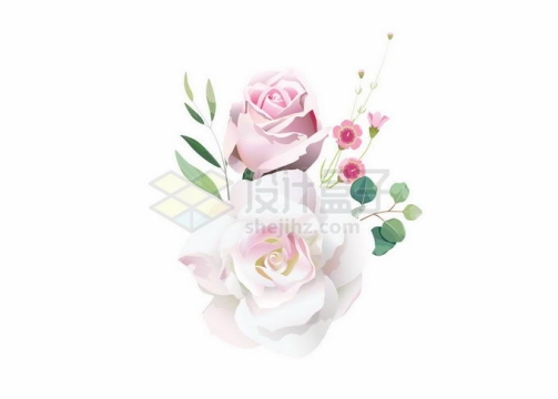 盛开的白色粉色玫瑰花美丽鲜花7094552矢量图片免抠素材