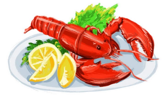 手绘风格澳洲大龙虾美味海鲜美食图片免抠素材