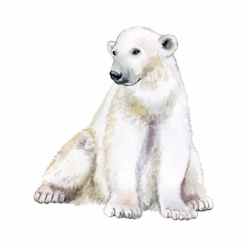 水彩画风格坐在地上的北极熊野生动物png图片免抠矢量素材