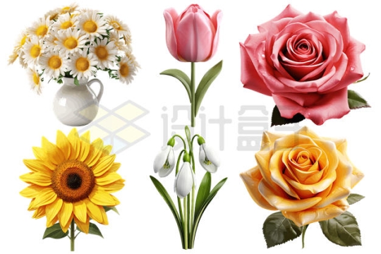 6款精美的花朵花卉6951876矢量图片免抠素材