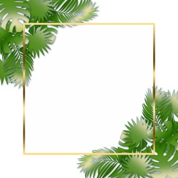 热带绿叶树叶装饰的金色边框475197png图片素材
