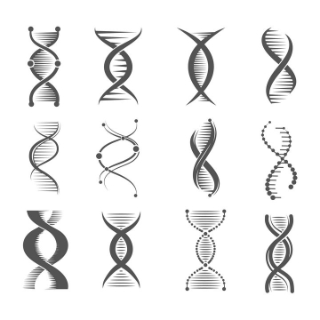 12种不同风格的黑色DNA双螺旋结构示意图图片免抠矢量素材