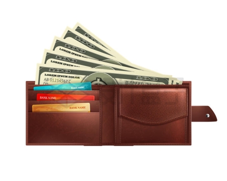 钱包钱夹子中的银行卡和钞票8400895矢量图片免抠素材