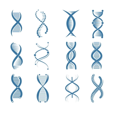 12种不同风格的蓝色DNA双螺旋结构示意图图片免抠矢量素材