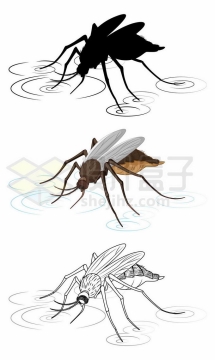 蚊子停在水面上手绘插画7495489矢量图片免抠素材免费下载