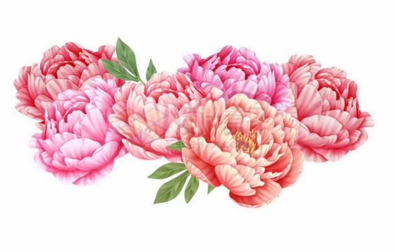 盛开的红牡丹花中国风工笔画1440561矢量图片免抠素材